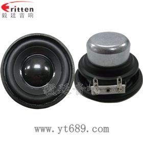 2寸內(nèi)磁多媒體喇叭正反面 2寸內(nèi)磁多媒體喇叭正反面
