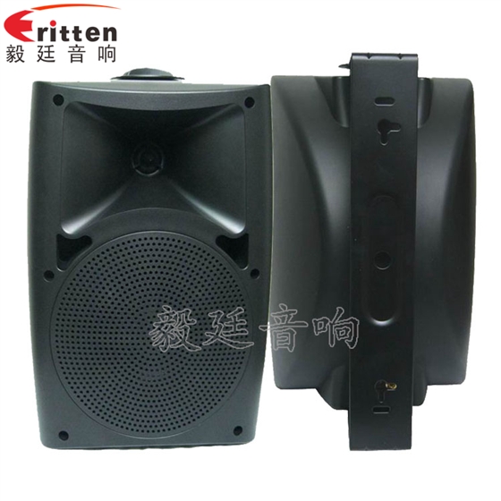 6.5寸墻壁音箱喇叭正反面 8''中低音舞臺(tái)音箱喇叭廠家正反面