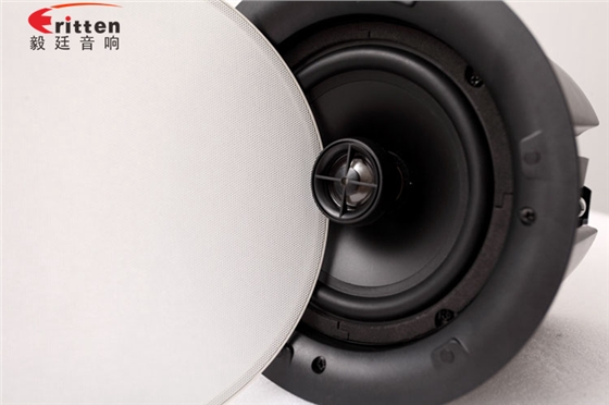 天花音響喇叭正面照 天花音響喇叭正面照