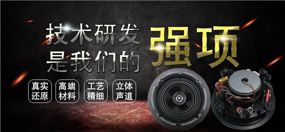 5.25寸天花揚聲 5.25寸天花揚聲