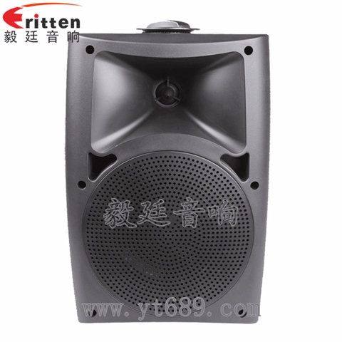 5.25寸2路壁掛音箱 5.25寸2路壁掛音箱