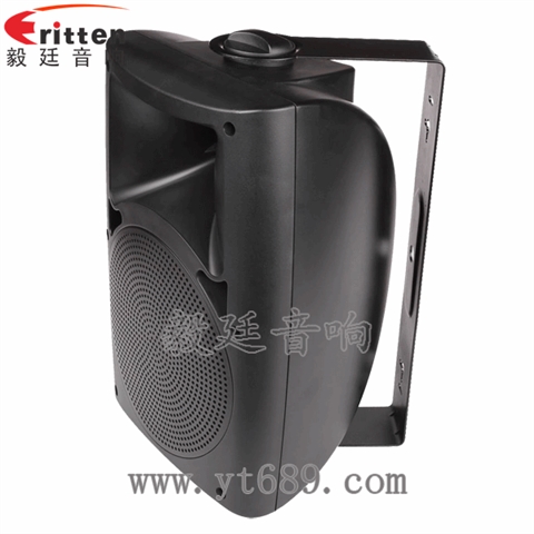 5.25寸2路壁掛音箱