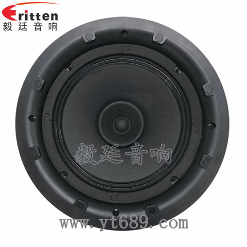 8寸25芯全頻喇叭
