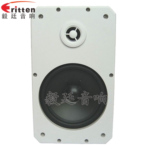 10寸專業音箱喇叭 10寸專業音箱喇叭