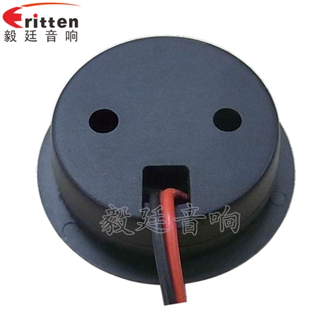 2寸10瓦汽車(chē)音響高音喇叭