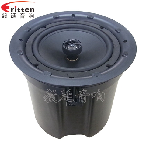 高音可旋轉(zhuǎn)8寸天花板喇叭 高音可旋轉(zhuǎn)8寸天花板喇叭