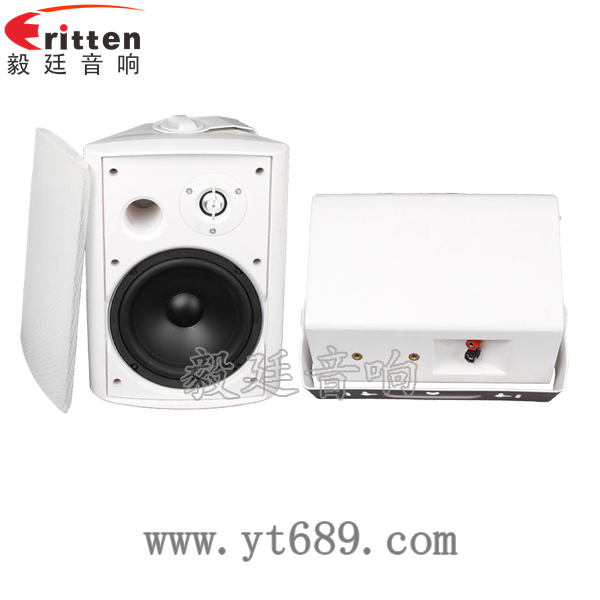 6.5寸2路墻壁音箱正反面