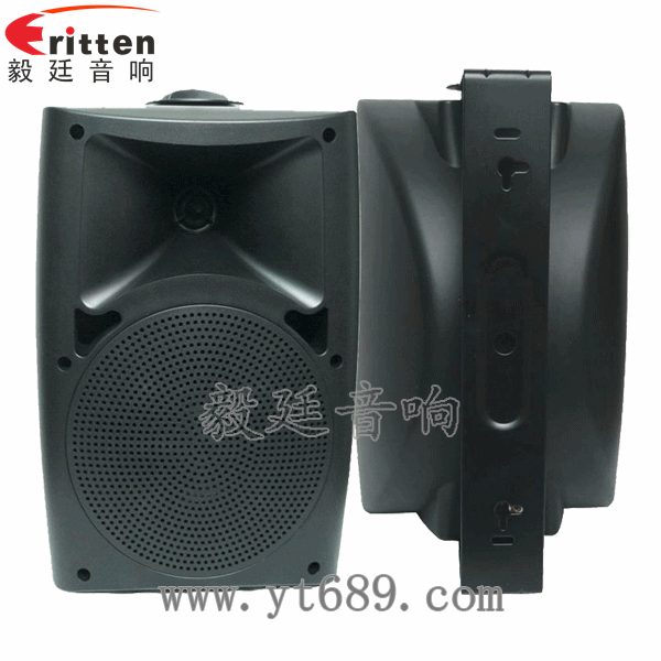 6.5寸兩路墻壁喇叭正反面 8''中低音舞臺音箱喇叭廠家正反面