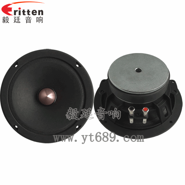 定制6.5寸中音喇叭--喇叭廠家正反面 8''中低音舞臺音箱喇叭廠家正反面