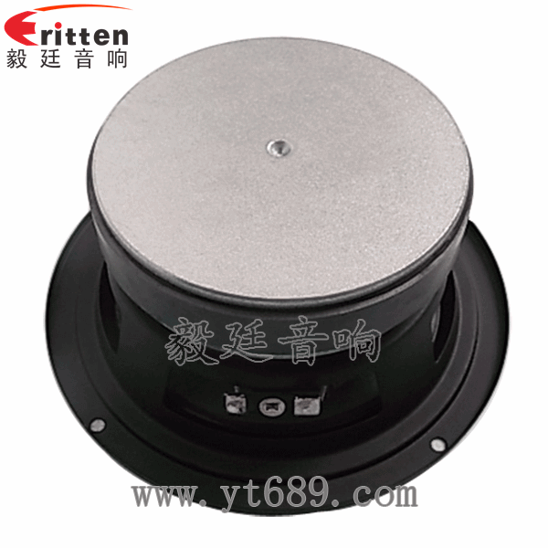 5.25寸汽車(chē)音響喇叭廠家正面圖