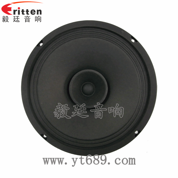 8''中低音舞臺音箱喇叭廠家正面圖