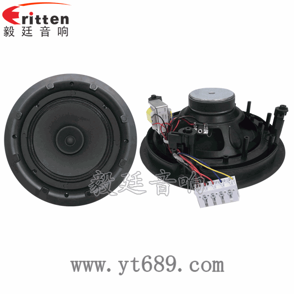 58mm20芯8瓦內磁全頻喇叭正反面