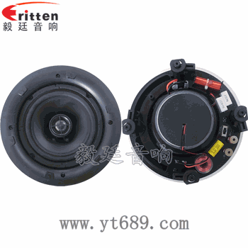 8''250w 重低音喇叭正反面