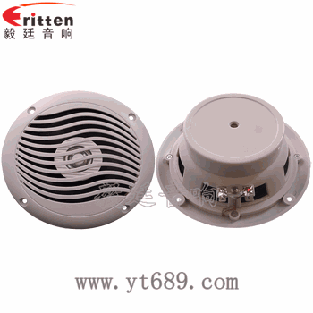 &ldquo;納尼&rdquo;毅廷完美喇叭功放！！