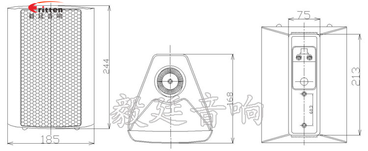 5.25寸掛壁音箱喇叭成品圖
