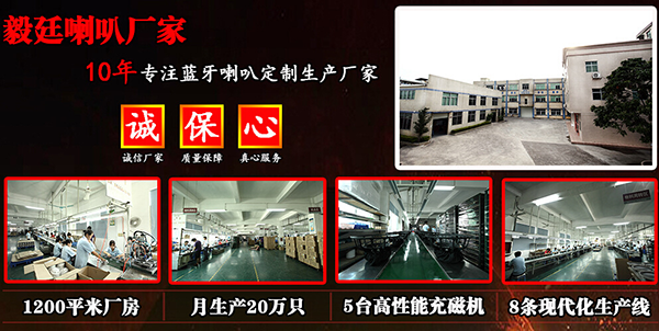 HIFI音響喇叭廠家